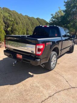 Used Ford F-150