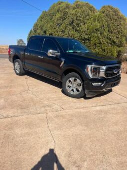 Used Ford F-150