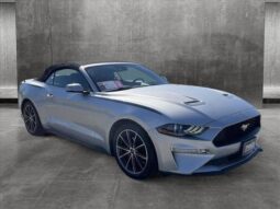 
										Used 2019 Ford Mustang full									